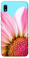 Чохол itsPrint Квіткові пелюстки для Samsung Galaxy A10 (A105F)