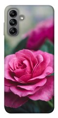 Чохол itsPrint Троянди в саду для Samsung Galaxy A04s