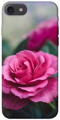 Чохол itsPrint Троянда у саду для Apple iPhone 7 / 8 (4.7")