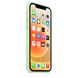 Чехол Silicone Case Full Protective (AA) для Apple iPhone 13 Pro Max (6.7") Зеленый / Pistachio фото 3