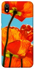 Чехол itsPrint Яркие маки для Xiaomi Redmi 7A