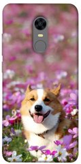 Чехол itsPrint Корги в цветах для Xiaomi Redmi 5 Plus / Redmi Note 5 (Single Camera)