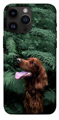 Чохол itsPrint Собака в зелені для Apple iPhone 14 Pro Max (6.7")