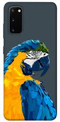 Чехол itsPrint Попугай для Samsung Galaxy S20