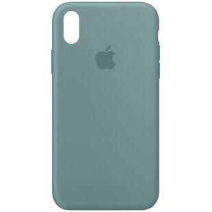 Чехол Silicone Case Full Protective (AA) для Apple iPhone XS Max (6.5") Зеленый / Cactus