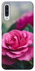 Чохол itsPrint Троянди в саду для Samsung Galaxy A50 (A505F) / A50s / A30s
