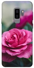 Чохол itsPrint Троянди в саду для Samsung Galaxy S9+