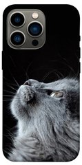 Чохол itsPrint Cute cat для Apple iPhone 13 Pro (6.1")