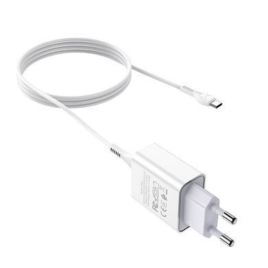 СЗУ HOCO C81A (1USB/2.1A) + Type-C Белый