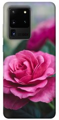 Чохол itsPrint Троянди в саду для Samsung Galaxy S20 Ultra