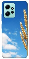 Чехол itsPrint Пшеница для Xiaomi Redmi Note 12 4G