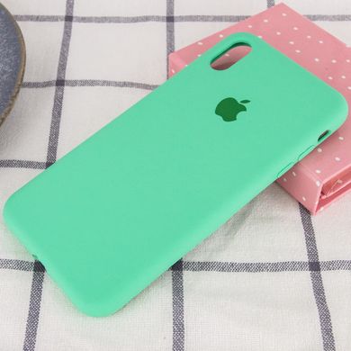 Чохол Silicone Case Full Protective (AA) для Apple iPhone X (5.8") / XS (5.8") Зелений / Spearmint