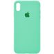 Чехол Silicone Case Full Protective (AA) для Apple iPhone X (5.8") / XS (5.8") Зеленый / Spearmint фото 1