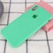 Чехол Silicone Case Full Protective (AA) для Apple iPhone X (5.8") / XS (5.8") Зеленый / Spearmint фото 2