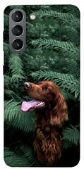 Чохол itsPrint Собака в зелені для Samsung Galaxy S21