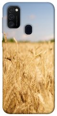 Чохол itsPrint Поле пшениці для Samsung Galaxy M30s/M21