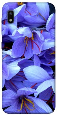 Чохол itsPrint Фіолетовий сад для Samsung Galaxy A10 (A105F)