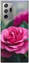 Чохол itsPrint Троянди в саду для Samsung Galaxy Note 20 Ultra