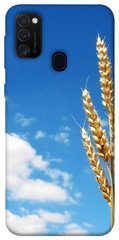 Чохол itsPrint Пшениця для Samsung Galaxy M30s/M21
