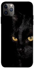 Чохол itsPrint Чорний кіт для Apple iPhone 12 Pro Max (6.7")