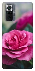 Чехол itsPrint Роза в саду для Xiaomi Redmi Note 10 Pro Max