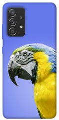Чехол itsPrint Попугай ара для Samsung Galaxy A72 4G / A72 5G