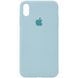 Чехол Silicone Case Full Protective (AA) для Apple iPhone X (5.8") / XS (5.8") Бирюзовый / Turquoise фото 1