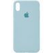 Чехол Silicone Case Full Protective (AA) для Apple iPhone X (5.8") / XS (5.8") Бирюзовый / Turquoise фото 4