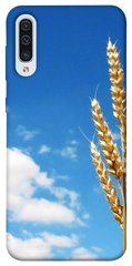 Чехол itsPrint Пшеница для Samsung Galaxy A50 (A505F) / A50s / A30s