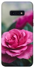 Чохол itsPrint Троянди в саду для Samsung Galaxy S10e