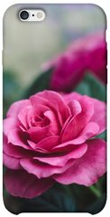 Чехол itsPrint Роза в саду для Apple iPhone 6/6s (4.7")