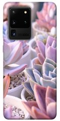 Чехол itsPrint Эхеверия 2 для Samsung Galaxy S20 Ultra