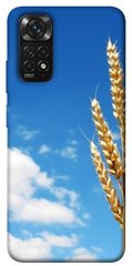 Чехол itsPrint Пшеница для Xiaomi Redmi Note 11 (Global) / Note 11S