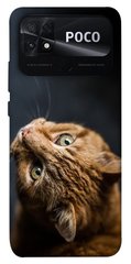 Чехол itsPrint Рыжий кот для Xiaomi Poco C40