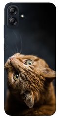 Чохол itsPrint Рудий кіт для Samsung Galaxy A04e