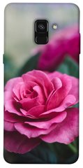 Чохол itsPrint Троянда у саду для Samsung A530 Galaxy A8 (2018)