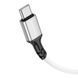 Дата кабель Borofone BX83 Famous PD60W Type-C to Type-C (1m) White фото 2