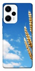 Чехол itsPrint Пшеница для Xiaomi Poco F5 Pro