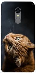 Чехол itsPrint Рыжий кот для Xiaomi Redmi 5 Plus / Redmi Note 5 (Single Camera)