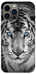 Чохол itsPrint Бенгальський тигр для Apple iPhone 13 Pro Max (6.7")
