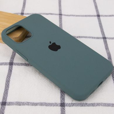 Чехол Silicone Case Full Protective (AA) для Apple iPhone 12 Pro Max (6.7") Зеленый / Cactus