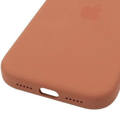 Чохол Silicone case (AAA) with Magsafe and Animation для Apple iPhone 17 Pro Max (6.9") Terra Cotta