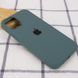 Чехол Silicone Case Full Protective (AA) для Apple iPhone 12 Pro Max (6.7") Зеленый / Cactus фото 2