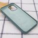 Чехол Silicone Case Full Protective (AA) для Apple iPhone 12 Pro Max (6.7") Зеленый / Cactus фото 3