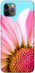 Чохол itsPrint Квіткові пелюстки для Apple iPhone 11 Pro Max (6.5")
