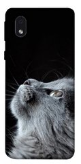 Чехол itsPrint Cute cat для Samsung Galaxy M01 Core / A01 Core
