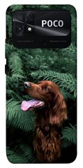 Чехол itsPrint Собака в зелени для Xiaomi Poco C40