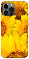 Чохол itsPrint Букет соняшників для Apple iPhone 13 Pro Max (6.7")