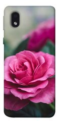 Чехол itsPrint Роза в саду для Samsung Galaxy M01 Core / A01 Core
