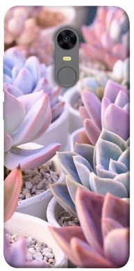 Чехол itsPrint Эхеверия 2 для Xiaomi Redmi 5 Plus / Redmi Note 5 (Single Camera)